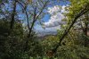 8/IMG_0367 site.jpg